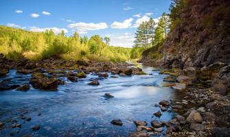 The dosage of polyaluminium chloride in different water quality