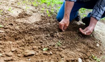 Usos Innovadores Del Cloruro De Calcio En La Agricultura: Del Control De Humedad A La Protección Contra Las Heladas