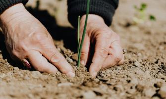 Environmental Impact of Magnesium Chloride Flakes in Agricultural Practices