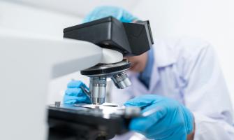 Comparative Analysis of Magnesium Chloride Bonding with Other Chlorides