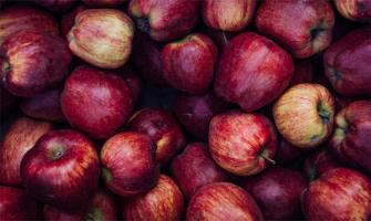 Treating Bitter Pit in Apples with Anhydrous Calcium Chloride