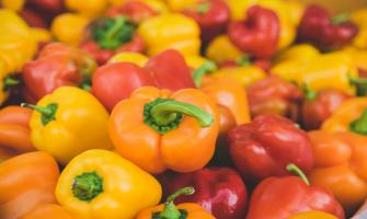 The Role of Anhydrous Calcium Chloride in Treating Blossom-End Rot in Bell Peppers